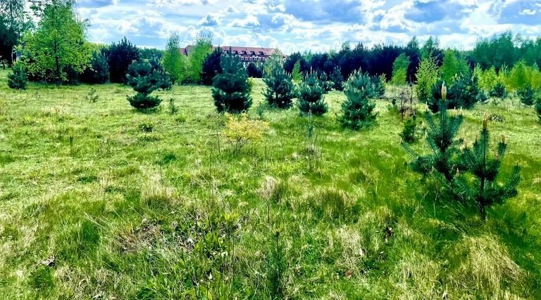 category-catalog-a-2