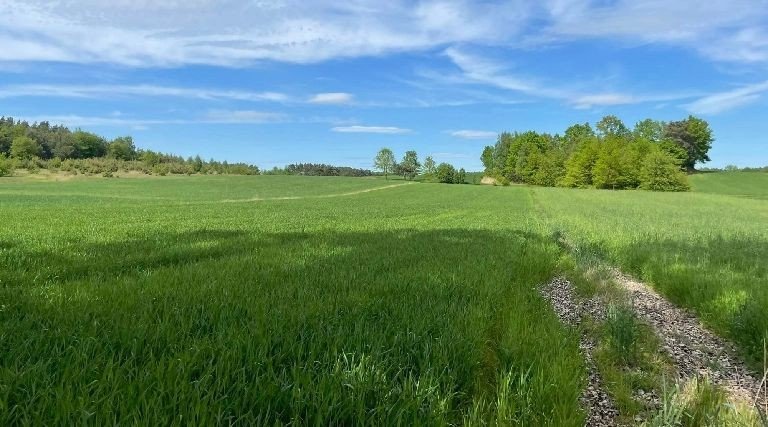 category-catalog-a-15